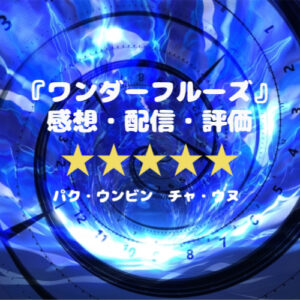 韓国ドラマ『ワンダーフルーズ』感想☆多様な超能力出現　続編希望！